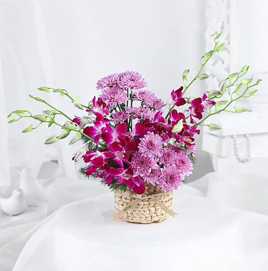 Orchid Bliss Creation